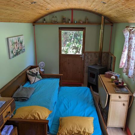 Rosa The Cosy Cabin - Gypsy Wagon - Shepherds Hut, River Views Off-Grid Eco Living Pedrogao Grande Εξωτερικό φωτογραφία