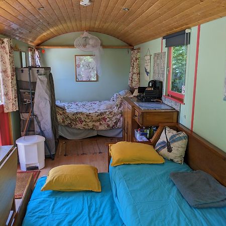 Rosa The Cosy Cabin - Gypsy Wagon - Shepherds Hut, River Views Off-Grid Eco Living Pedrogao Grande Εξωτερικό φωτογραφία