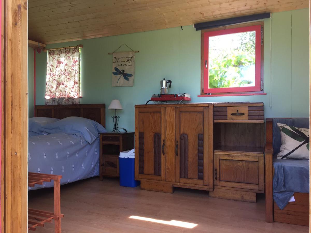 Rosa The Cosy Cabin - Gypsy Wagon - Shepherds Hut, River Views Off-Grid Eco Living Pedrogao Grande Εξωτερικό φωτογραφία