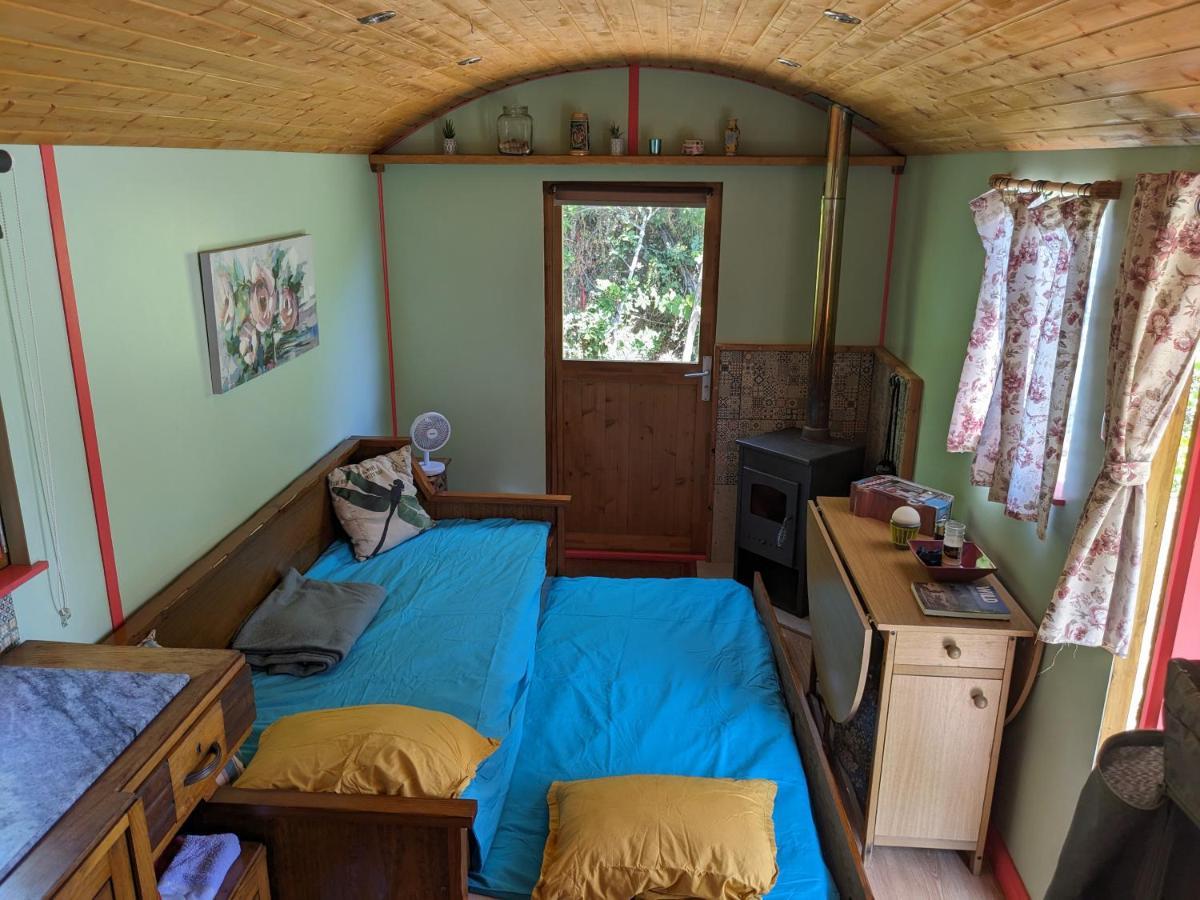 Rosa The Cosy Cabin - Gypsy Wagon - Shepherds Hut, River Views Off-Grid Eco Living Pedrogao Grande Εξωτερικό φωτογραφία